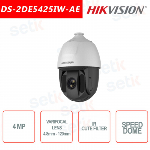 Ip Hikvision 4MP Speed Dome Camera