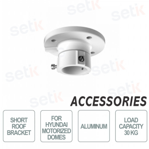 Hyundai - Support plafond court pour dômes motorisés - Aluminium - Max.30Kg