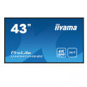 Monitor Prolite 43 Pollici UHD 4K Display IPS Professionale - LAN - 24/7 - Lettore Multimediale IIYAMA