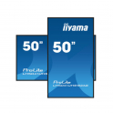 Moniteur d'affichage professionnel VA IIYAMA Prolite 50 pouces UHD 4K