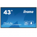 Iiyama - Moniteur 43 pouces - 4K UHD - Avec haut-parleurs - Pour usage professionnel