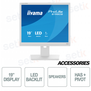 IIYAMA ProLite 19" Backlit Monitor with Has and Pivot