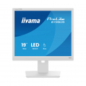 IIYAMA ProLite 19" Backlit Monitor with Has and Pivot