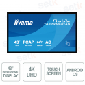 T4329AS-B1AG - IIYAMA - Moniteur 43 pouces VA AG - 4K UHD - écran tactile