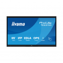 TE6515A-B1AG - IIYAMA - 65 inch IPS AG monitor - 4K UHD - touchscreen