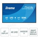 LH4375UHS-B2AG - Monitor 43" 4K UHD iiyama ProLite – Digital Signage 24/7 con Android 11