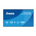 LH6575UHS-B2AG - 65" 4K monitor iiyama ProLite – Android 11 and Digital Signage 24/7