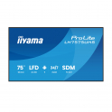 LH7575UHS-B2AG - 75" 4K monitor iiyama ProLite – Android 11 and Digital Signage 24/7