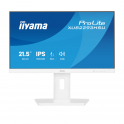 Moniteur iiyama ProLite XUB2293HSU-W7 – Full HD 100 Hz IPS avec cadre ultra-fin et support réglable