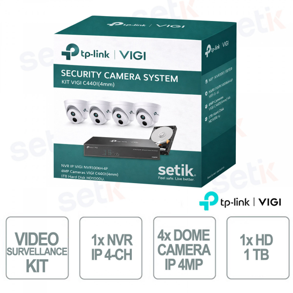 Kit videosorveglianza – 1 NVR + 4 telecamere Dome + 1 Hard disk 1TB - Vigi