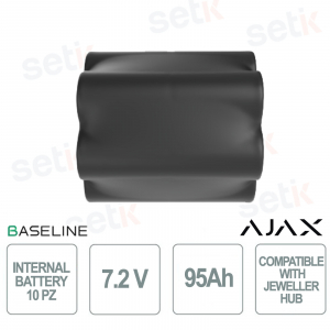 Batterie interne NB 7,2 V 95 Ah : Batterie longue durée pour Hub BP Jeweler