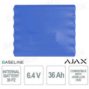 Internal Battery RB 6.4V 36Ah: Batteria a Lunga Durata per Hub BP Jeweller