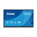 TN6505A-B1AG 65" 4K UHD Touch, OS-Free, 40 Touch Points, IPS 500 cd/m², Plug & Play for Meetings and Training - iiyama