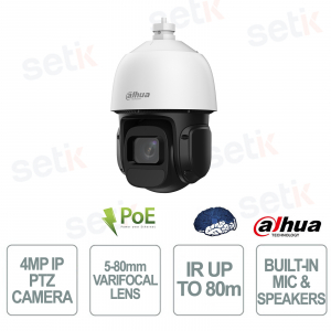 Caméra de surveillance vidéo Dahua SD3D416NB-GNY 4MP PTZ 16x AI WizSense, portée infrarouge 5-80 mm, 80 m, IP66