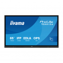 iiyama ProLite TE6513A-B3AG Interactive Display 65" 4K UHD Google EDLA Android 14 USB-C WiFi 6E