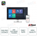 Professional DSS Software Training Service | Official One-Day Course