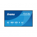 iiyama ProLite LH4366UHSB-B1AG Display Digital Signage 43" 4K UHD 800 cd/m² Android 14 WiFi 24/7