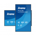 iiyama ProLite LH4366UHSB-B1AG Display Digital Signage 43" 4K UHD 800 cd/m² Android 14 WiFi 24/7
