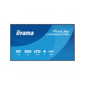iiyama ProLite LH6566UHSB-B1AG Digital Signage Display 65" 4K UHD 800 cd/m² Android 14 WiFi 24/7