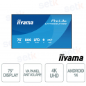 iiyama ProLite LH7566UHSB-B1AG Digital Signage Display 75" 4K UHD 800 cd/m² Android 14 WiFi 24/7