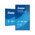 iiyama ProLite LH7566UHSB-B1AG Display Digital Signage 75" 4K UHD 800 cd/m² Android 14 WiFi 24/7