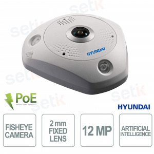 Caméra dôme IP fisheye HYU-953-U 12 MP, vision nocturne infrarouge 360°, portée de 15 m, IA, PoE, IP67, IK10 - Hyundai