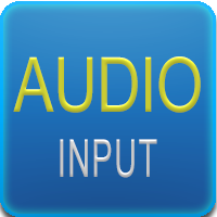 Audio Input