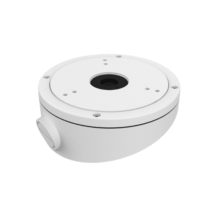 DS-1281ZJ-M