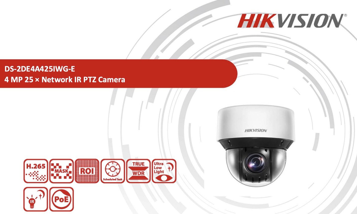 DS-2CD2425FWD-IW