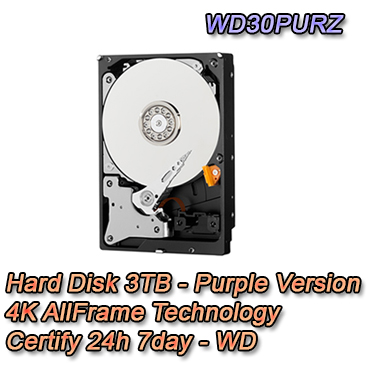 Hard Disk Purple WD30PUZX